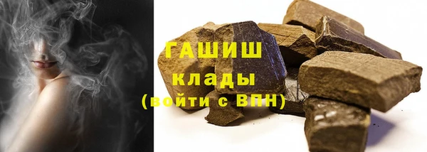 твердый Новозыбков