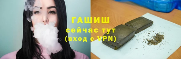 стафф Касимов