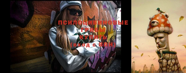 мдма Новодвинск